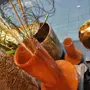 thumbnail-Dobře udržované vybavení obchodu a exkluzivní dekorativní předměty z květinového butiku-2