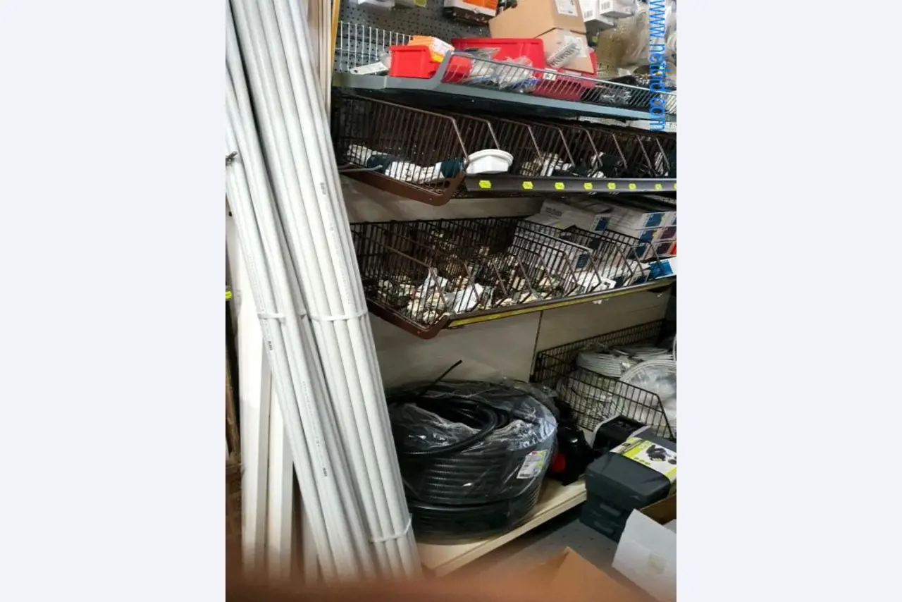 Máquinas e inventários de um comerciante de madeira e de construção-2