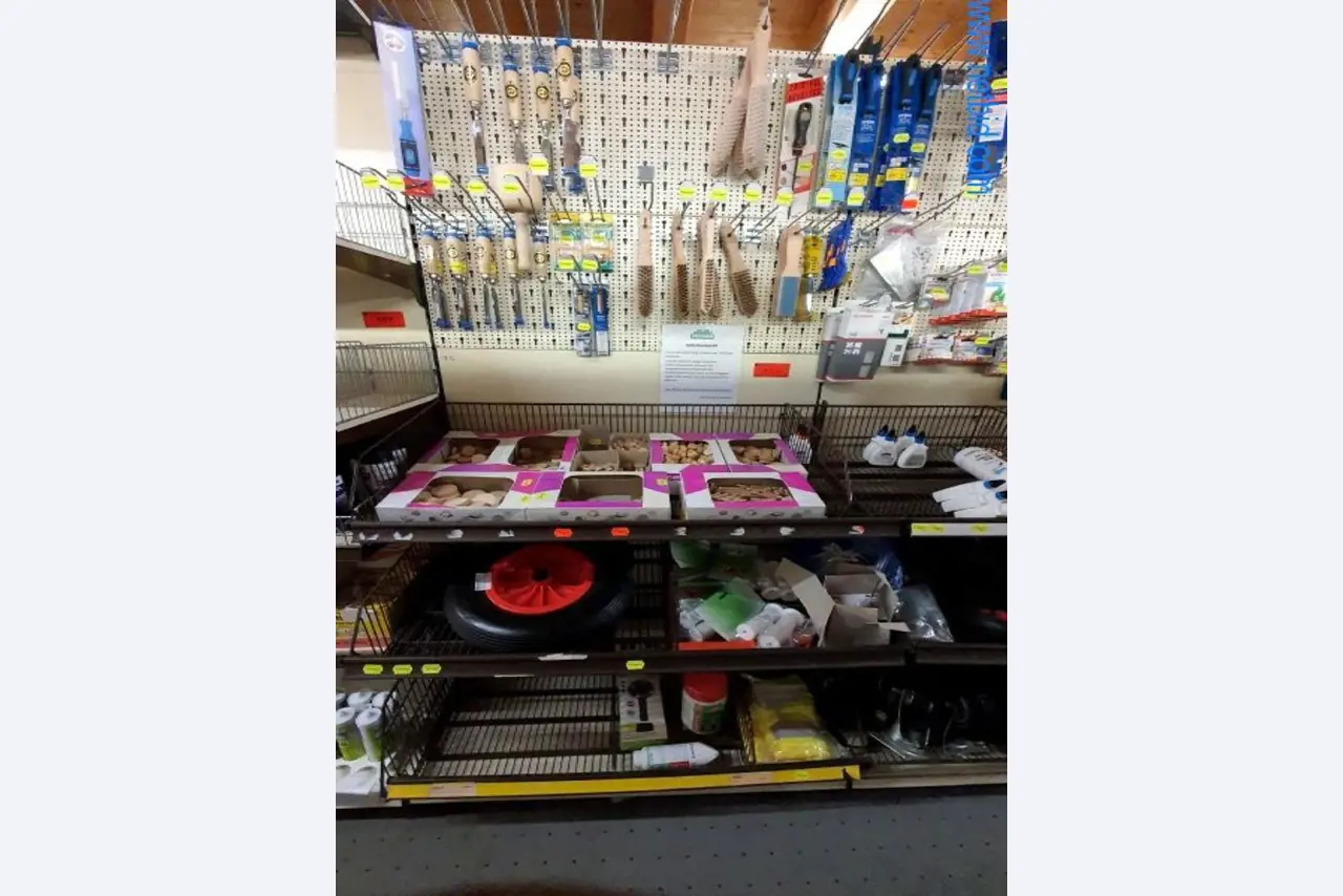 Máquinas e inventários de um comerciante de madeira e de construção-2