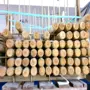 thumbnail-Machines and stocks of a timber and building materials store-5