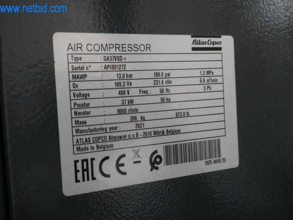 Máquinas y equipos técnicos del sector alimentario en buen estado de conservación-6