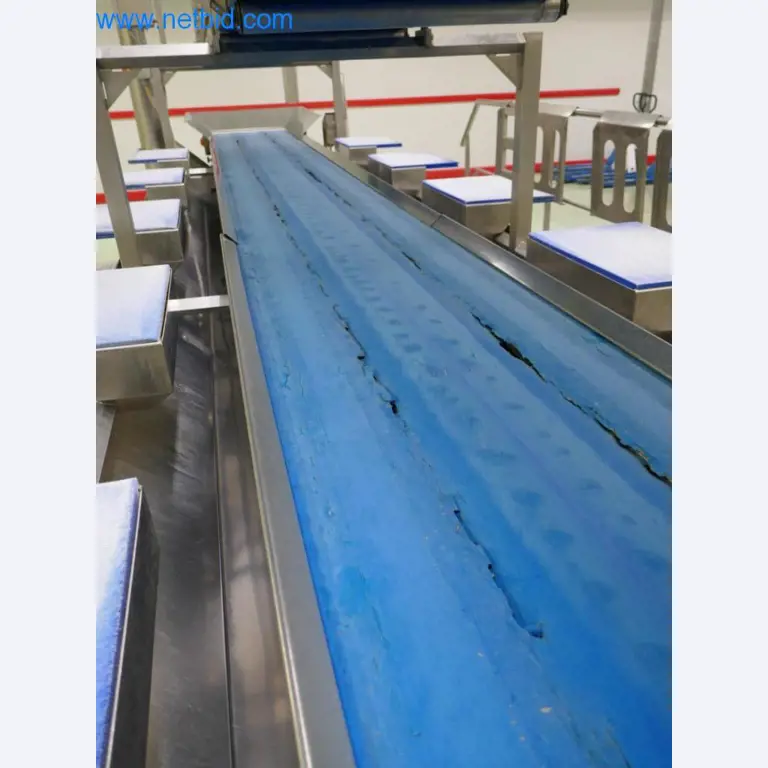 Dobro vzdrževani stroji in tehnična oprema iz živilskopredelovalnega sektorja-7