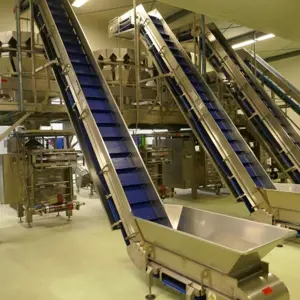 Salad filling line (tube packaging) (4)