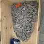 thumbnail-Stroji, vozni park in operativna oprema-1