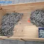 thumbnail-Stroji, vozni park in operativna oprema-2