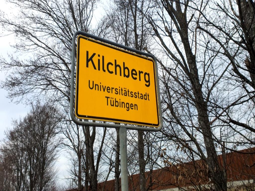 Crawler excavator-55