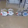 thumbnail-BGA, inventar in material za montažo (pleskarji, lakirniki in karoseristi).-3