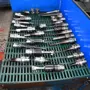 thumbnail-Metal working machinery-3