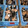 thumbnail-Metal working machinery-2