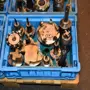 thumbnail-Metal working machinery-2