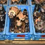 thumbnail-Metal working machinery-1