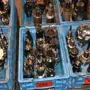 thumbnail-Metal working machinery-2