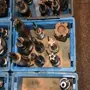 thumbnail-Metal working machinery-2