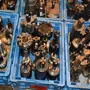 thumbnail-Metal working machinery-1