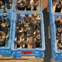 thumbnail-Metal working machinery-1