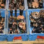 thumbnail-Metal working machinery-1