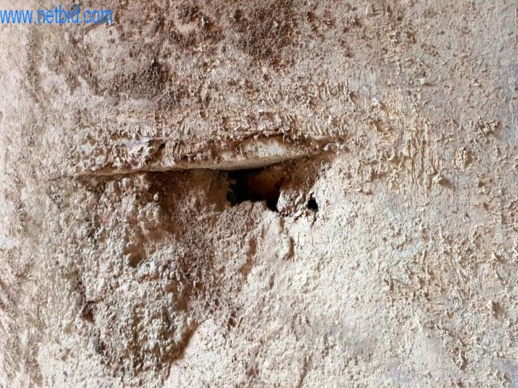 Máquinas e veículos de construção-12