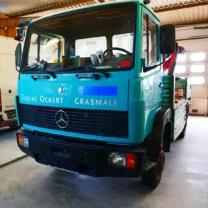 Camion Mercedes-Benz 809