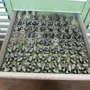 thumbnail-Compleet assortiment hoogwaardige CNC-bewerkingsmachines-9