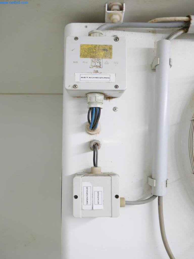 Sprzęt rzeźniczy i produkcja mięsa-5