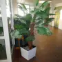 thumbnail-Ausstattung des Krankenhauses sowie die EDV-Einrichtung-4