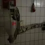 thumbnail-Bakery production machines and equipment for a pastry shop-2