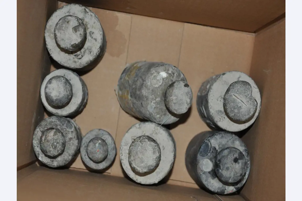 Máquinas de carpintería; máquinas para trabajar el metal; equipos de transporte y almacenamiento y mucho más.-2