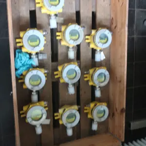 10 Gasmesssonden