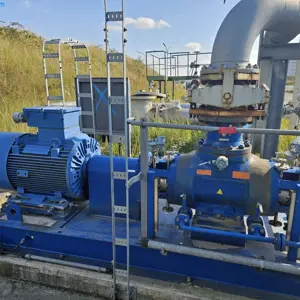 Crude oil pump Bornemann W 7T.2z-78/2