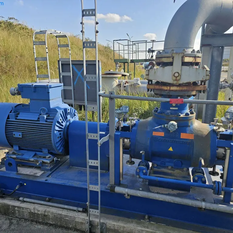 Crude oil pump Bornemann W 7T.2z-78/2