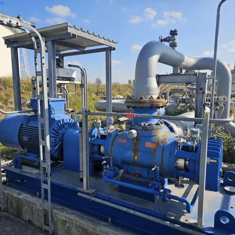 Bomba de petróleo bruto Bornemann W 7T.2z-78/2