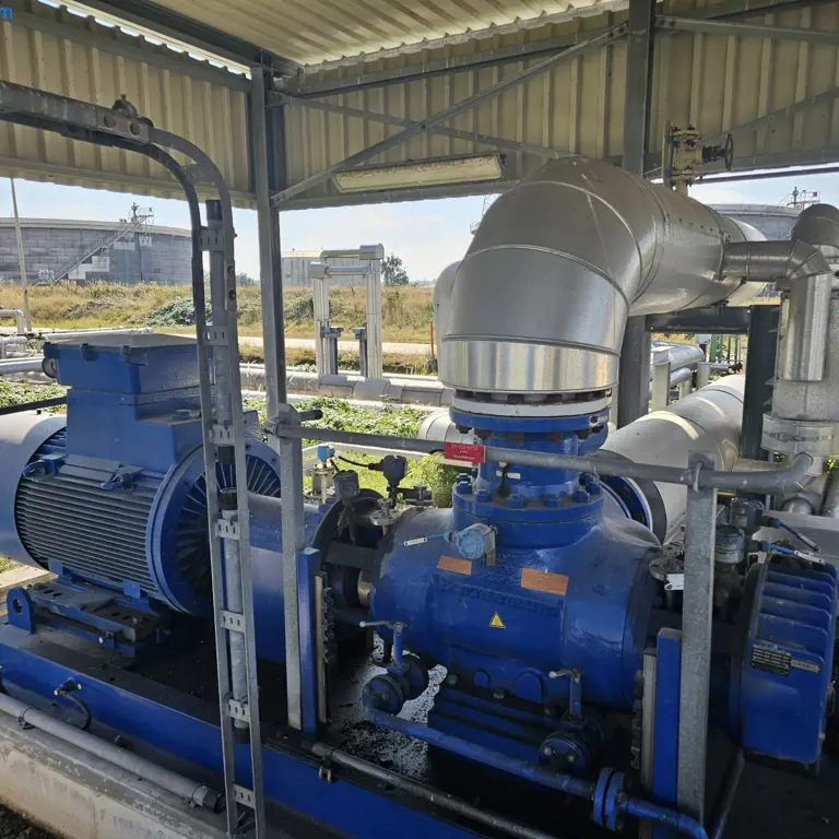 Bomba de petróleo bruto Bornemann W 7T.2z-78/2