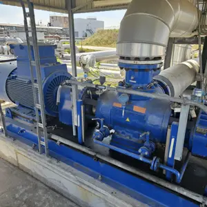 Bomba de petróleo bruto Bornemann W 7T.2z-78/2