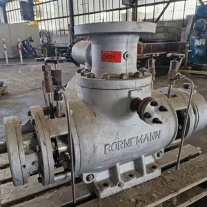 Bornemann Pumpe Bornemann W7.1Z-85