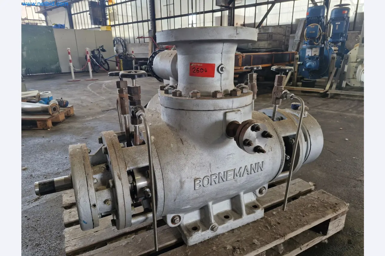 Magazinbestände, Rohöl-/Gas-Öl-/Einsatzpumpen sowie Betriebsausstattung einer Raffinerie-1