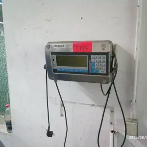 Plattformboden-Digitalwaage Bizerba