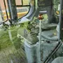 thumbnail-null-32