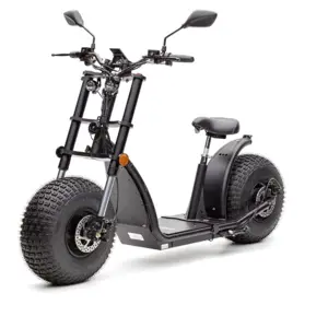 14 Stück Scooter électrique Forca Knumo 2