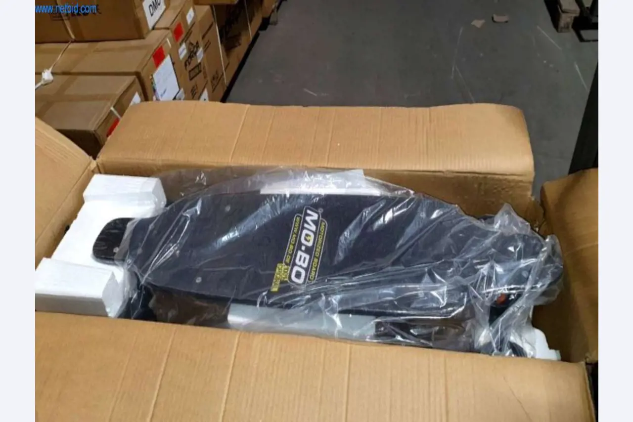 E-mobili, e-skuterji in e-vozila-8