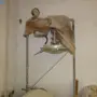 thumbnail-Machines for the production of leather, saddlery and whips-7