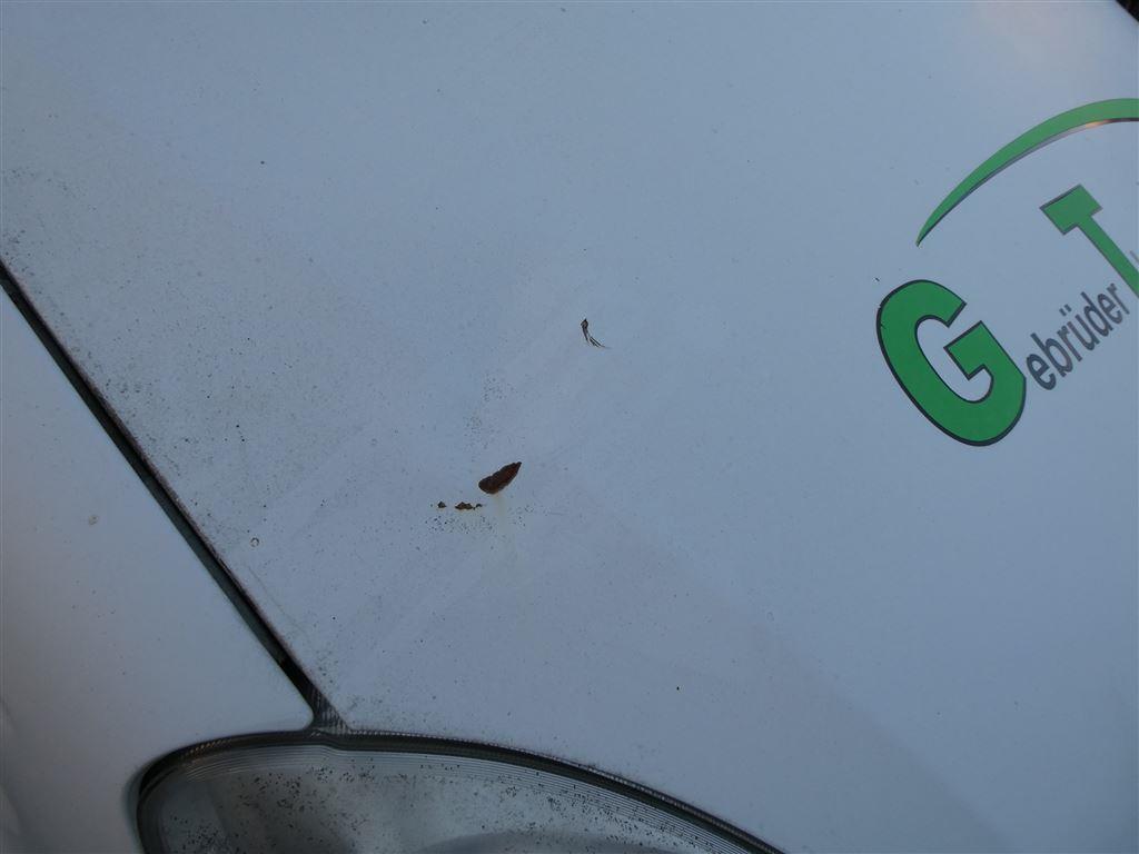 Machines and equipment of a road construction company-15