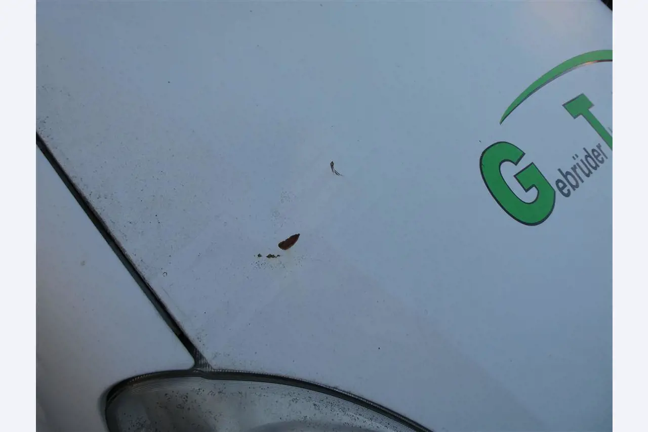 Maszyny i sprzęt firmy zajmującej się budową dróg-15