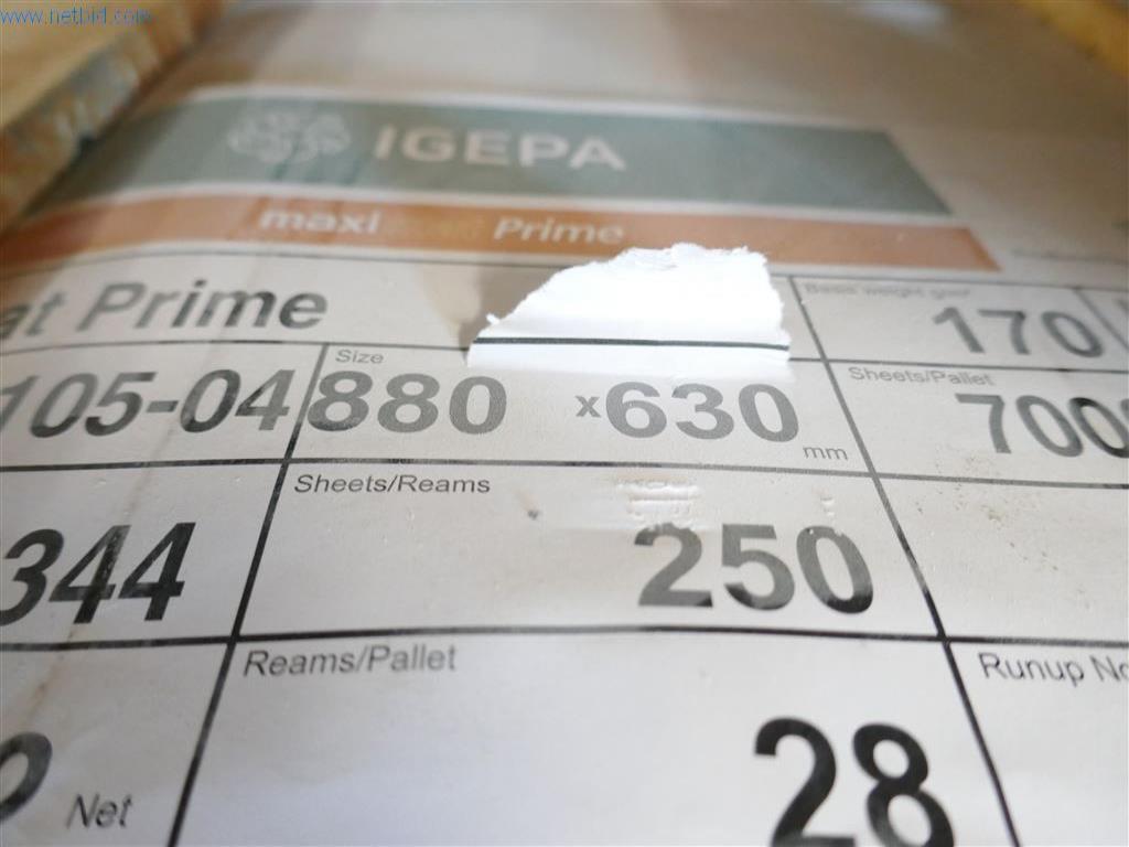 Equipos operativos y de oficina, activos circulantes y flota de vehículos de una imprenta-2