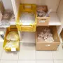 thumbnail-Operating and office equipment, current assets and fleet of a printing company-6