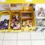 thumbnail-Betriebs- und Geschäftsausstattung, Umlaufvermögen sowie Fuhrpark einer Druckerei-20