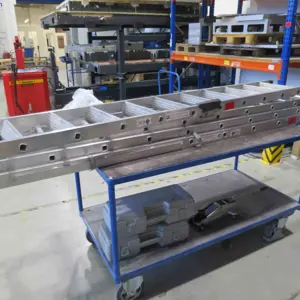 2 Aluminum Telescopic Ladders Günzburger