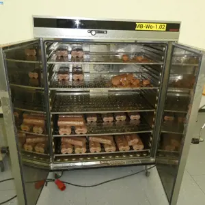 Armário de aquecimento (MB-WO-1.02) Memmert UFE800