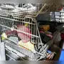 thumbnail-Maschinen aus dem Bereich Hoch- und Tiefbau-3
