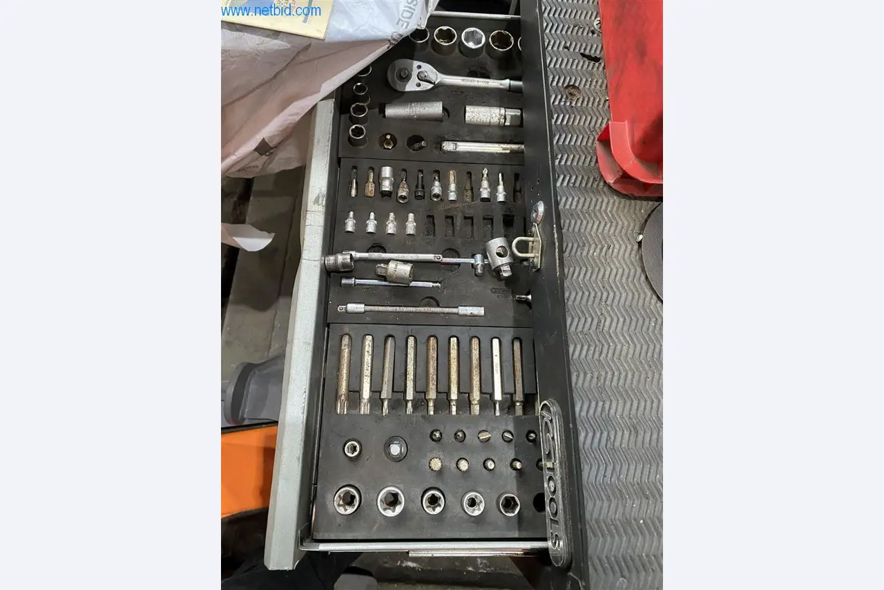 BGA y parque móvil-3