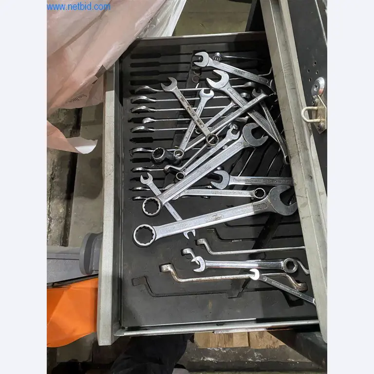 BGA y parque móvil-5